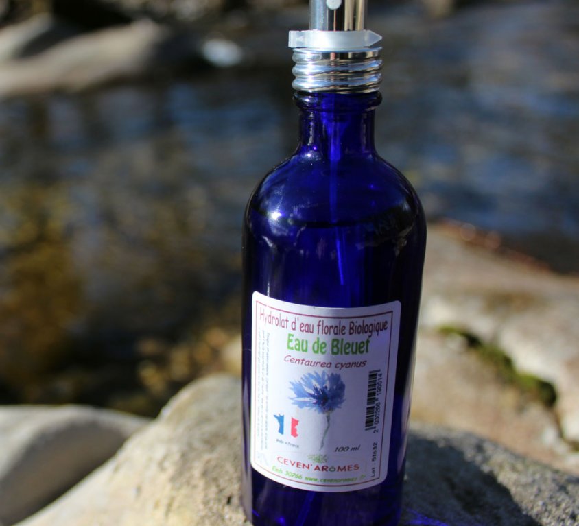 Hydrolat d’Eau Florale de Bleuet BIO – Sans Alcool